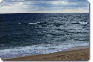 Jetski Tour Ft. Lauderdale