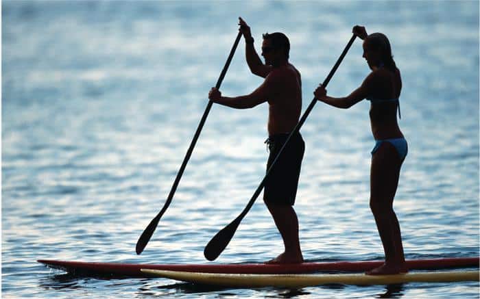 Stand Up Paddle Board Rental