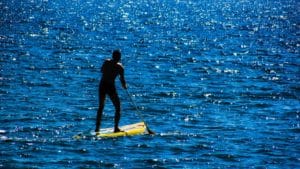 Rent a stand up paddle board or kayak on your next Florida trip